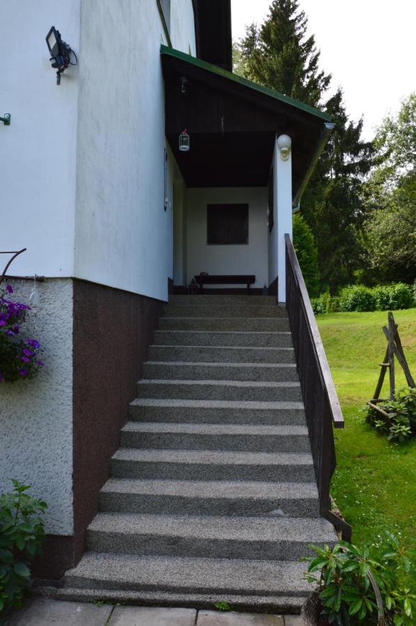 Horsky Apartman Pod Zelenou Strechou Bartosovice v Orlickych Horach Exterior photo