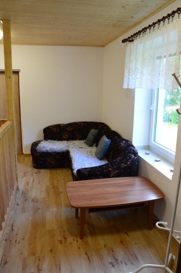 Horsky Apartman Pod Zelenou Strechou Bartosovice v Orlickych Horach Exterior photo