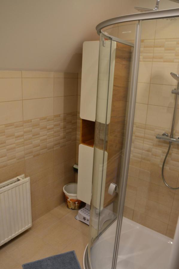 Horsky Apartman Pod Zelenou Strechou Bartosovice v Orlickych Horach Exterior photo